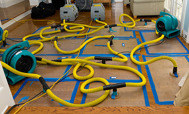 Professional Crawl Space Water Removal technician working in Arthur, IL